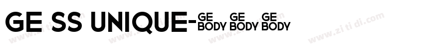 GE SS Unique字体转换